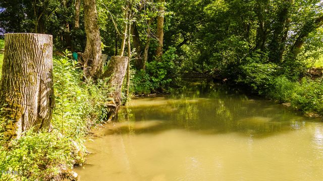 1075 Afton Road, Afton, TN 37616