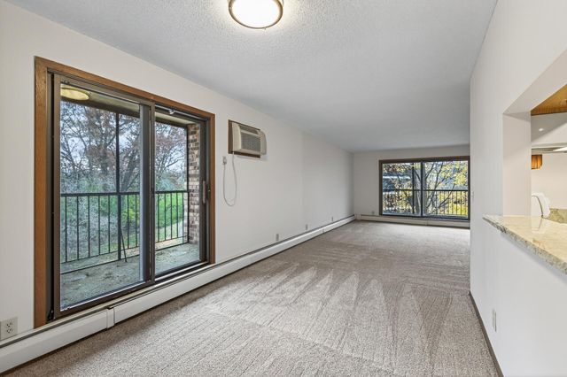 10441 Greenbrier Road 222, Hopkins, MN 55305