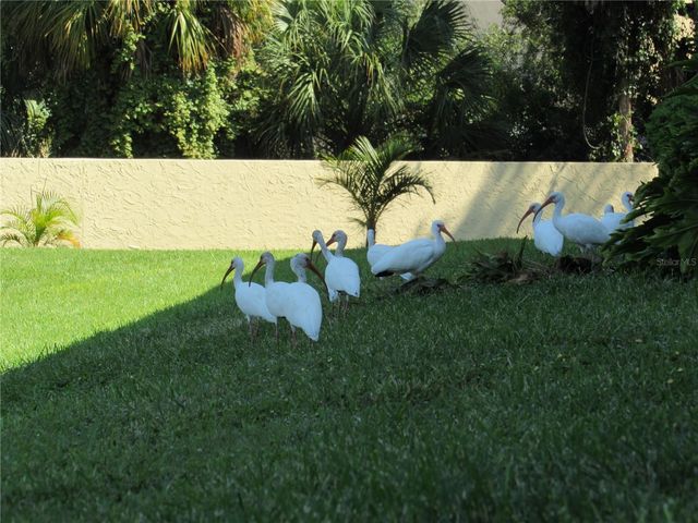 3001 58TH AVENUE S 904, St Petersburg, FL 33712