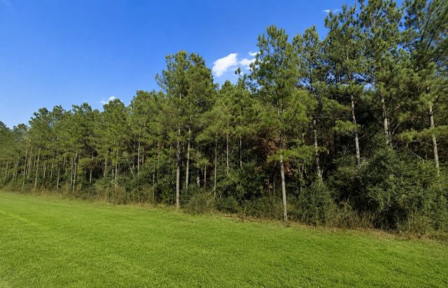 12684 Oak Barrel Road, Willis, TX 77378