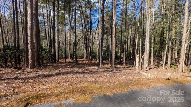 257 Roberts Lane N 7, Flat Rock, NC 28731