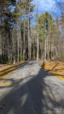 257 Roberts Lane N 7, Flat Rock, NC 28731