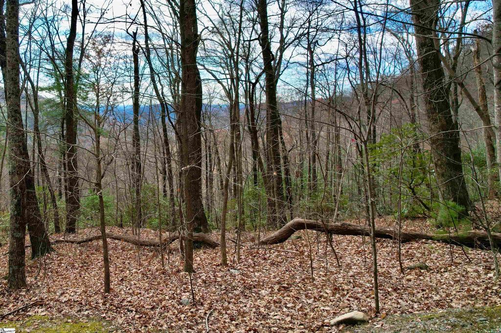 1329 Panther Park Trail, Travelers Rest, SC 29690