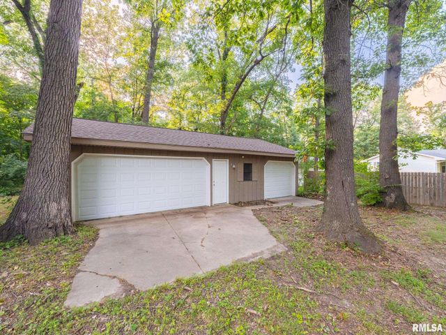 7711 LINDEN Lane, Delavan, IL 61734