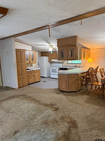 4654 Skyline Dr., Chandler, TX 75758