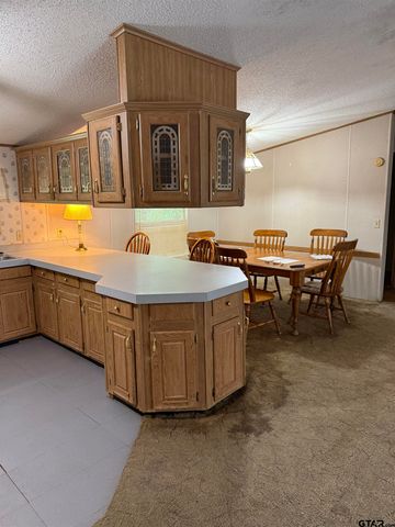4654 Skyline Dr., Chandler, TX 75758