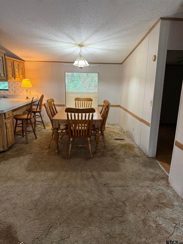 4654 Skyline Dr., Chandler, TX 75758