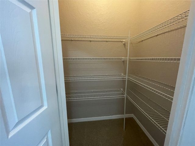 17711 EMERALD GREEN PL, Tampa, FL 33647