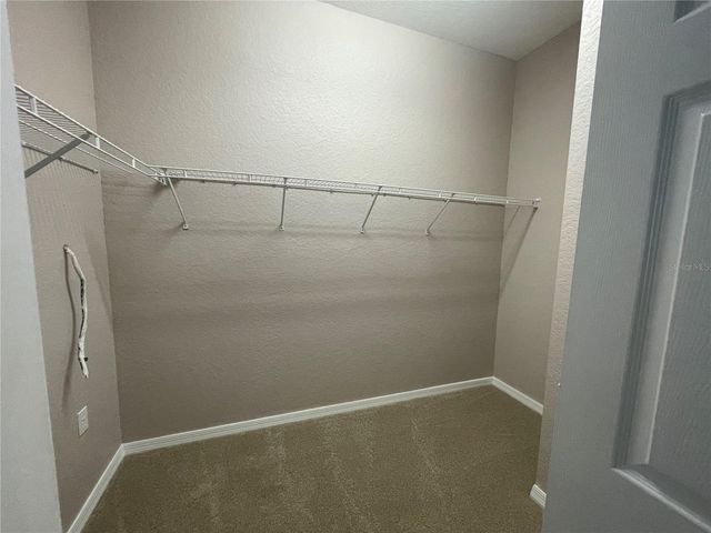 17711 EMERALD GREEN PL, Tampa, FL 33647