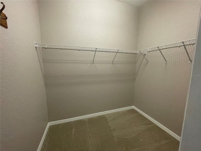 17711 EMERALD GREEN PL, Tampa, FL 33647