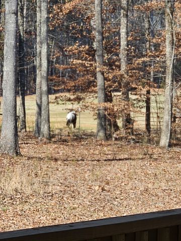 15 Nature Ridge Rd, Tullahoma, TN 37388