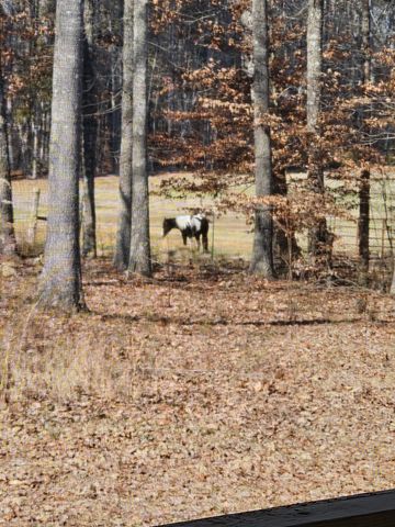 15 Nature Ridge Rd, Tullahoma, TN 37388