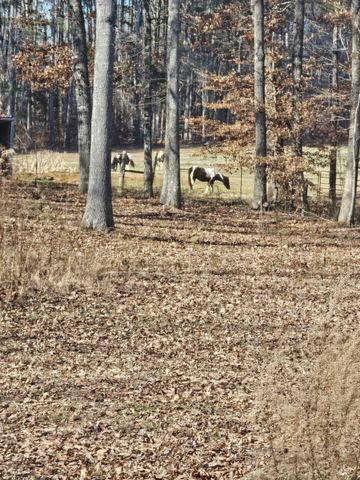 15 Nature Ridge Rd, Tullahoma, TN 37388