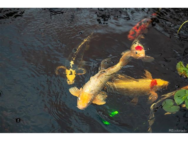 3655 Eliot St, Denver, CO 80211