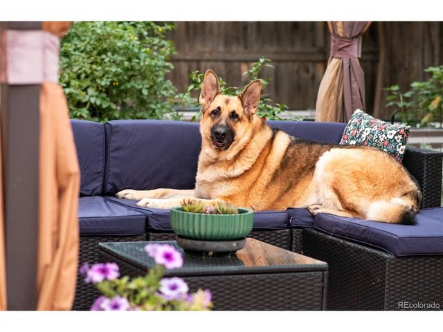 3655 Eliot St, Denver, CO 80211