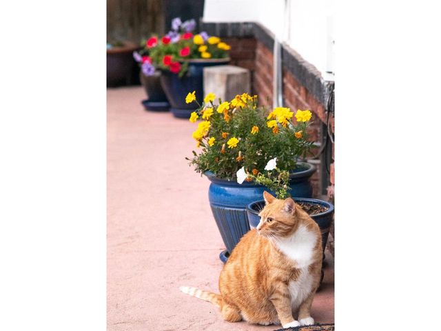 3655 Eliot St, Denver, CO 80211