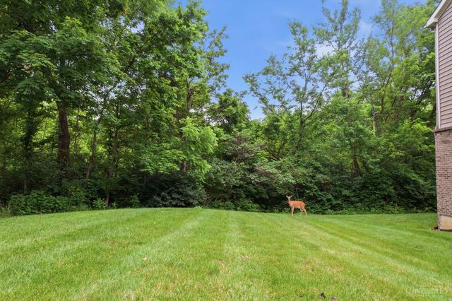 6221 Watchcreek Way, Miami Twp, OH 45150