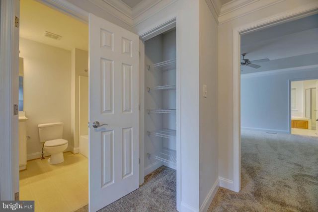 110 BLACK DUCK CT, Cambridge, MD 21613