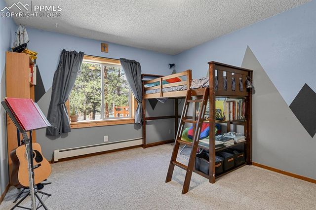 881 Trail Creek Road, Lake George, CO 80827