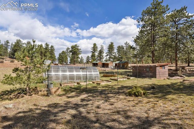 881 Trail Creek Road, Lake George, CO 80827
