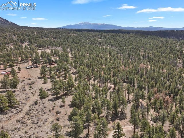 881 Trail Creek Road, Lake George, CO 80827