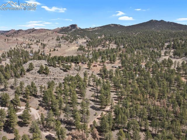 881 Trail Creek Road, Lake George, CO 80827