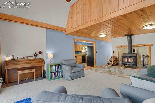 881 Trail Creek Road, Lake George, CO 80827