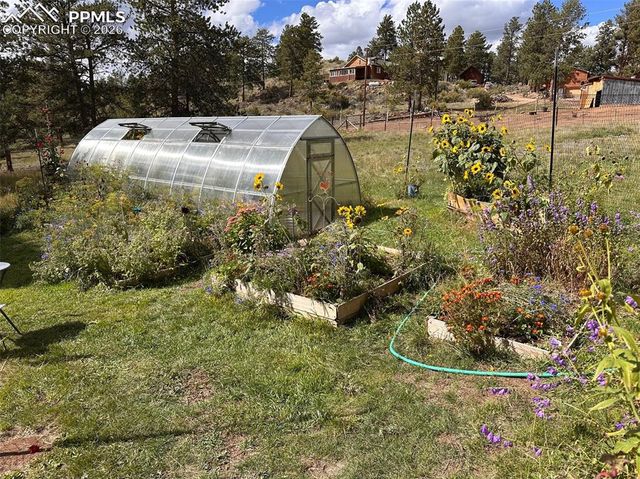 881 Trail Creek Road, Lake George, CO 80827