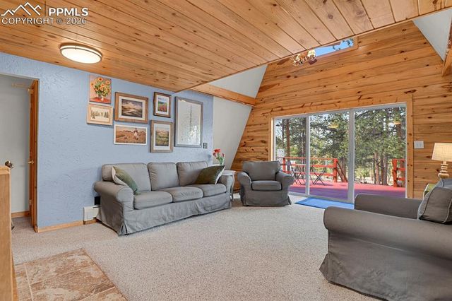881 Trail Creek Road, Lake George, CO 80827