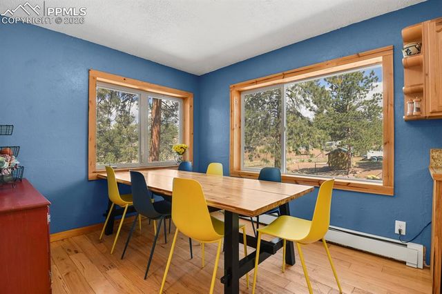 881 Trail Creek Road, Lake George, CO 80827