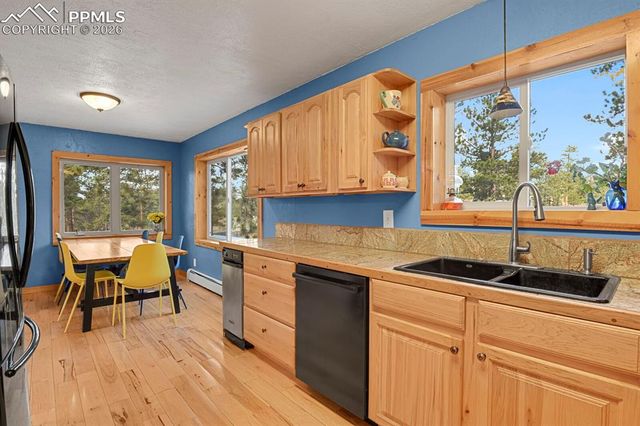 881 Trail Creek Road, Lake George, CO 80827