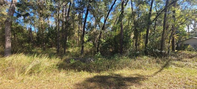 3627 S Fitch Avenue, Inverness, FL 34452