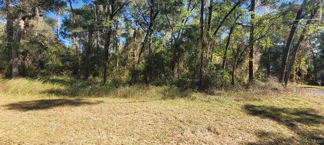 3627 S Fitch Avenue, Inverness, FL 34452