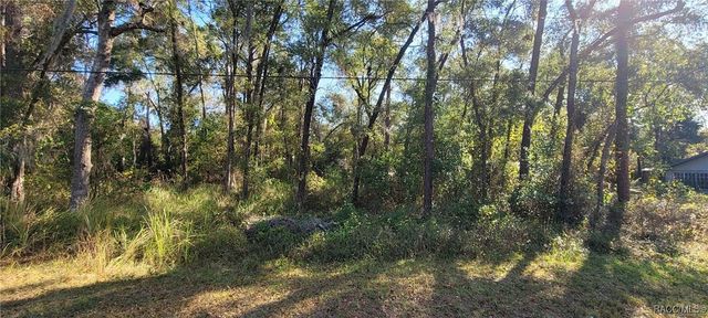 3627 S Fitch Avenue, Inverness, FL 34452