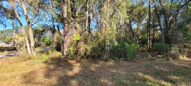 3627 S Fitch Avenue, Inverness, FL 34452