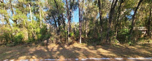 3627 S Fitch Avenue, Inverness, FL 34452