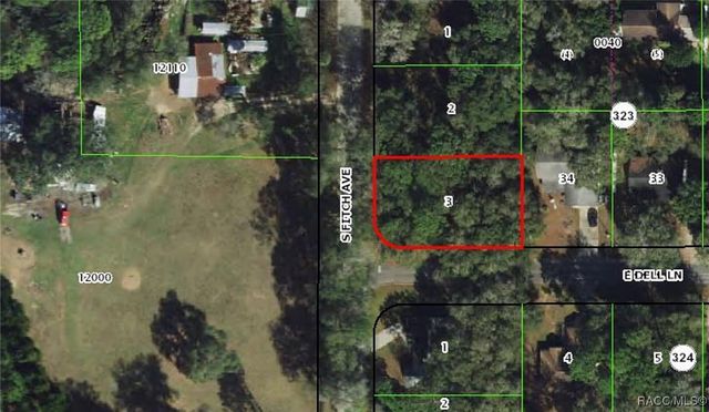 3627 S Fitch Avenue, Inverness, FL 34452