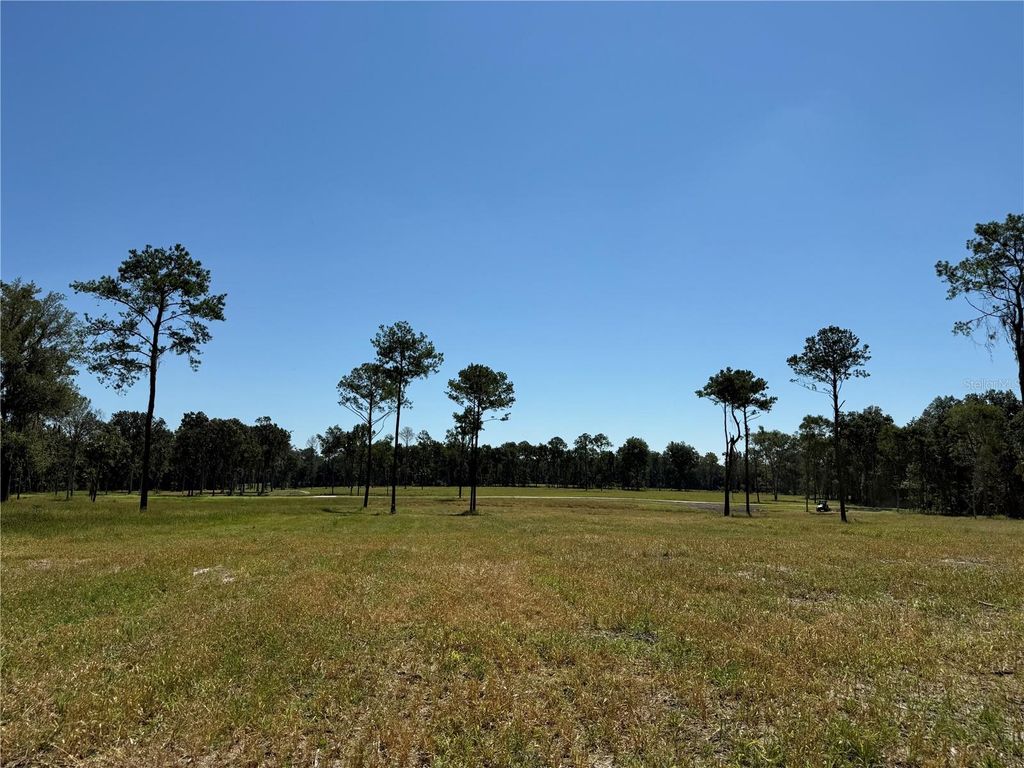 DR #8 (10ac) NW 193RD ST, Micanopy, FL 32667