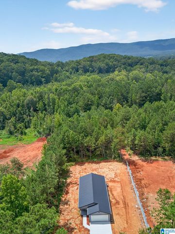 1129 EARL ROBERTS ROAD, Anniston, AL 36207