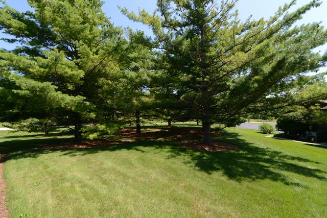 9925 Amanda Lane, Algonquin, IL 60102
