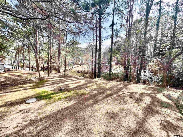 6791 Valley View Dr., Frankston, TX 75763