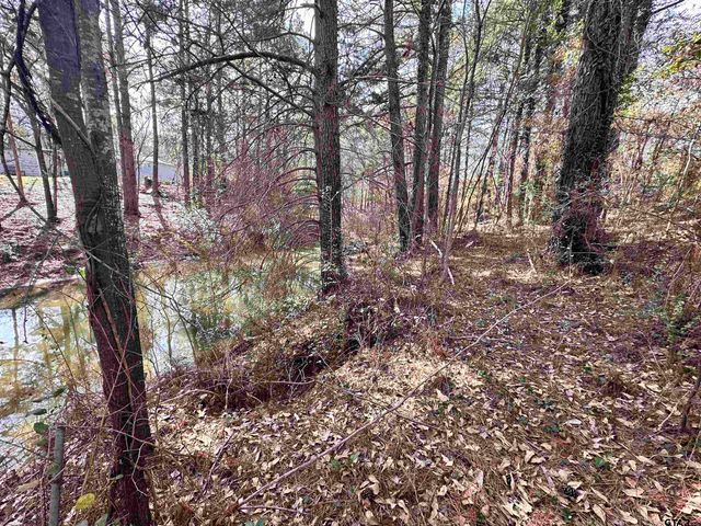 6791 Valley View Dr., Frankston, TX 75763