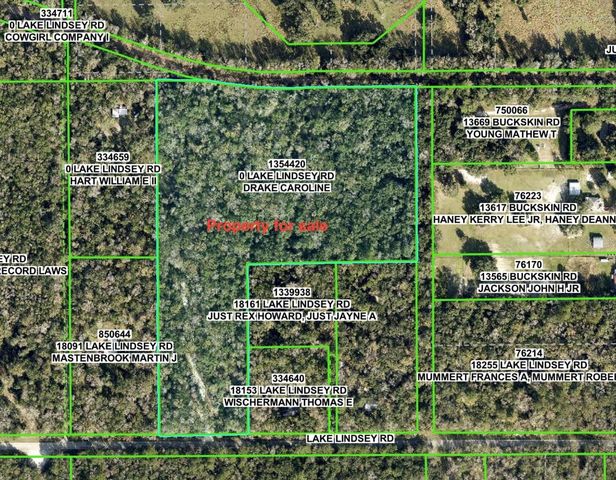 LAKE LINDSEY ROAD, Brooksville, FL 34601