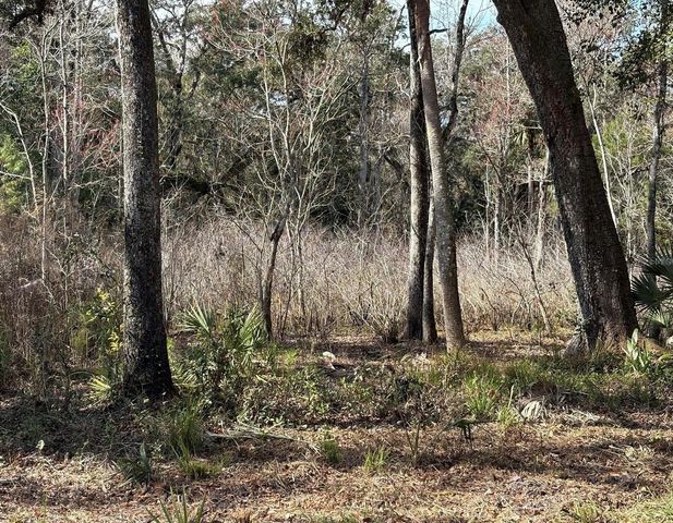 LAKE LINDSEY ROAD, Brooksville, FL 34601
