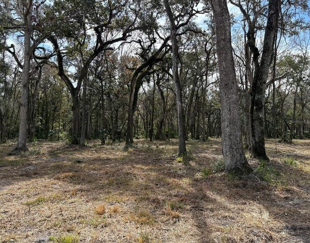 LAKE LINDSEY ROAD, Brooksville, FL 34601