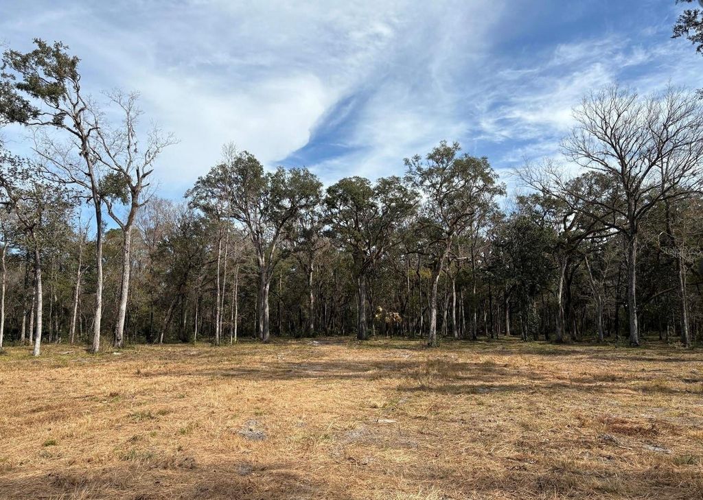 LAKE LINDSEY ROAD, Brooksville, FL 34601