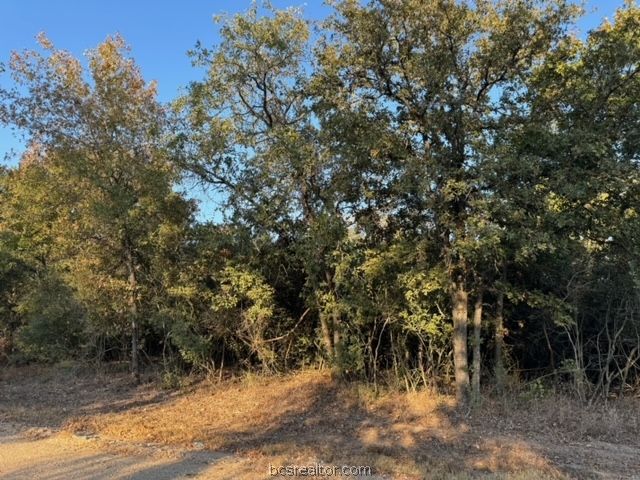 3367 Beaver Creek Road, Caldwell, TX 77836
