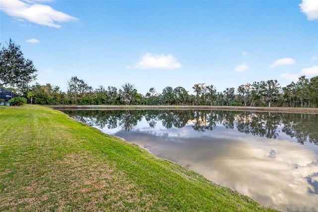 27020 EVERGREEN CHASE DRIVE, Wesley Chapel, FL 33544