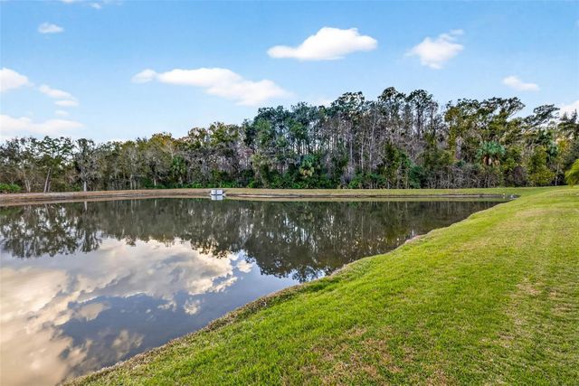 27020 EVERGREEN CHASE DRIVE, Wesley Chapel, FL 33544