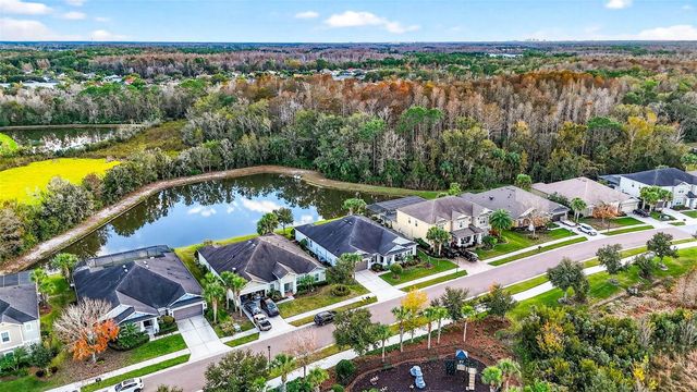 27020 EVERGREEN CHASE DRIVE, Wesley Chapel, FL 33544